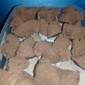 Cooksnap dari Aura Sandra untuk resep Brownies Kukus Mekar Ny.Liem