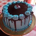 El cooksnap de Maria rosana Benitez cuando hizo Torta de cumpleaños.