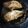 Dania Dilawer's cooksnap of when they made Chicken Fried Steak.