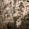 El cooksnap de Daniela Salazar cuando hizo Pasta con salsa blanca de atún y espinacas.