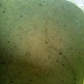BabyChef.F.'s cooksnap of when they made green sauce.