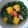 Cooksnap dari Ratih Sukardi untuk resep Sayur Bayam Wortel Jagung