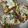 Pankti Baxi Desai's cooksnap of when they made બ્રેડ પીઝા (Bread Pizza Recipe In Gujarati).