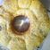 Cooksnap dari sakurakichan untuk resep Roti Sobek Simple Tanpa Ulen