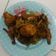 Cooksnap dari Ndah rahayu untuk resep Ayam Goreng Mentega Madu