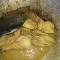 Cooksnap dari Ryuuki untuk resep 8. Ayam ungkep buat stok di kulkas