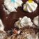 Cooksnap από dcroula στη συνταγή Choco-Bananaki
