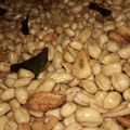 Cooksnap dari Mesyi Wyfress untuk resep Kacang Bawang Daun Jeruk