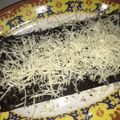 Cooksnap dari alia adelia untuk resep Brownies Kukus Gampil