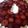 El cooksnap de Aime Dardo cuando hizo Tarta de frutilla económica.