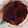 La cooksnap de Elisa Alonso cuando cocinó Tarta de queso Mariquilla