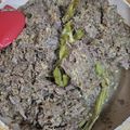 Cooksnap dari Hanne untuk resep Gepuk warisan enin