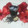 El cooksnap de Lady Marmalade cuando hizo Karkanji (bebida de hibisco).