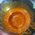 El cooksnap de Paty cuando hizo Flan de coco rallado.