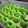 Cooksnap dari syafa untuk resep Bolu Pandan Mini Kukus 🌿