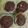 Cooksnap dari Susan Susanti untuk resep Muffin Pisang Coklat (Banana Choco Muffins)