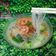 Cooksnap dari April_Umi HannaHani untuk resep Sop Oyong Bihun Crab𝘴tick