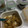 Cooksnap dari JaNeKo untuk resep Bacian Ayam