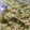 El cooksnap de Mireia cuando hizo Guacamole.