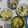 Cooksnap dari Ninik Kitchen untuk resep Bakso Ayam