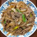 庭秀 的 日式洋蔥燒肉 cooksnap
