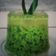 Cooksnap dari Heny Wijayanti untuk resep Puding Lumut Pandan hijau lagi hitsss.