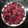 El cooksnap de Valentina Baez cuando hizo Cheesecake de frutos rojos sin horno 🍓🍒.