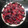 El cooksnap de Valentina Baez cuando hizo Cheesecake de frutos rojos sin horno 🍓🍒.