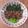 Cooksnap dari wahyoe s.niarto untuk resep 120. Pak Coy with Slice Beef Garlic