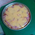 El cooksnap de Andrea Huck cuando hizo Pizza con harina de arroz.