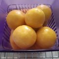 Cooksnap dari Fz_Syifaa untuk resep Nastar Tips