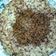 Cooksnap dari Ummu searev untuk resep Kerak telor ala ala