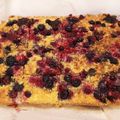 Blaskovics Ibolya Cooksnap-ja, amikor elkészítette a(z) Kókuszos piskóta (IR-barát) receptet.