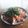 Valentina 's cooksnap of when they made Wassermelonensalat mit Feta.