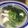 Cooksnap dari Sitia IChayunus untuk resep Soup Ikan Batam