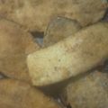 El cooksnap de Elo 1988 cuando hizo Milanesas de Berenjenas.
