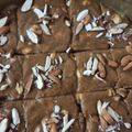 Bhagyashreeba M Gohil's cooksnap of when they made સુખડી(Sukhdi Recipe in Gujarati).