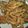 Cooksnap dari Ita N. untuk resep Jamur Crispy