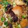Cooksnap dari lady untuk resep Model gandum