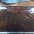 El cooksnap de Gimena cuando hizo Torta de zanahoria.