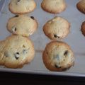 Cooksnap dari Sagita Jeemar untuk resep Choco Chips Cookies Renyah (#pr_olahan coklat)