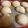magicjane's cooksnap of when they made Dinner Rolls.