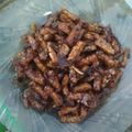 Cooksnap dari LaiLatul Qadriani untuk resep Tempe Goreng Kecap Gampang Enak