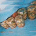 Сooksnap від Megum Kelly, який(а) приготував(ла) Огурцы по-корейски с морковкой.