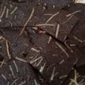 Cooksnap dari Nisa Alfa untuk resep Brownies Kering
