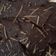 Cooksnap dari Nisa Alfa untuk resep Brownies Kering