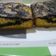 Cooksnap dari Arin Mufida untuk resep Marmer Cake Ketobetic
