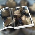 Cooksnap dari Theodora Endah Kurniyawati untuk resep Muffin tape kukus