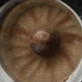 Cooksnap από Nagia87 στη συνταγή Κλασικός χαλβάς