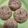 El cooksnap de Fran Ledezma cuando hizo Galletas Cookies Express.